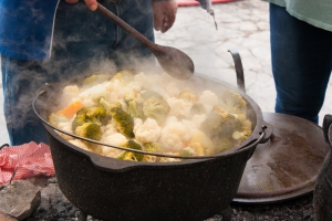 Day in the Country 2015