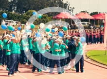 4M 2014
