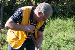 Tree planting in Victoria Park