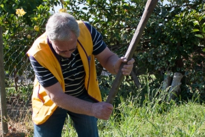 Tree planting in Victoria Park