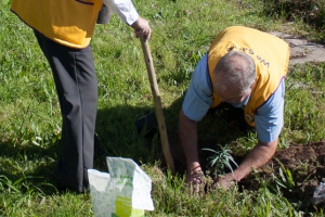 Tree planting in Victoria Park