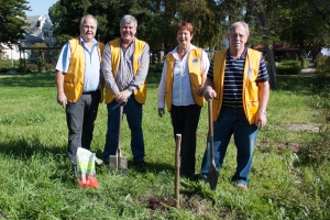 Tree planting in Victoria Park